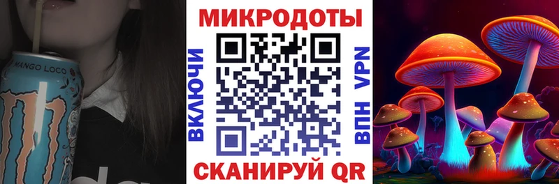 Галлюциногенные грибы Psilocybe  Вилючинск 